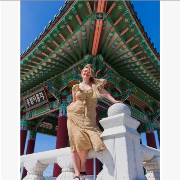 Anthropologie Bolano Leopard Midi Dress - Picture 6 of 8